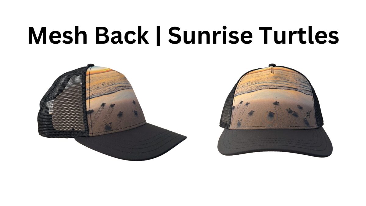 Mesh Back | Sunrise Turtles