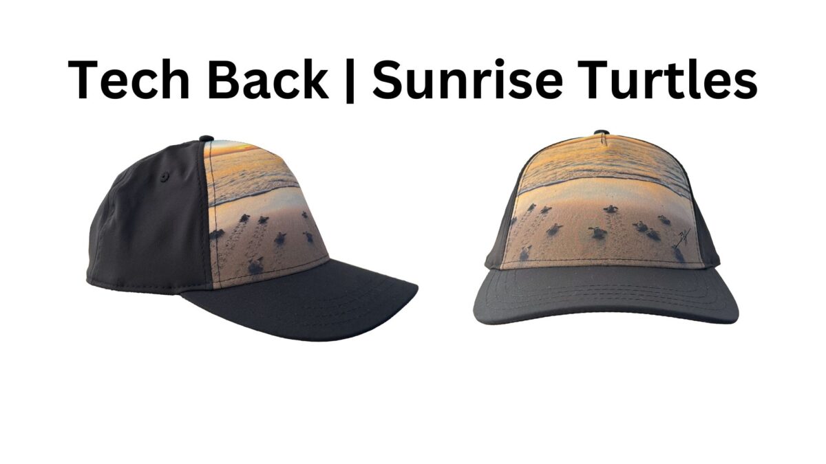 Tech Back | Sunrise Turtles
