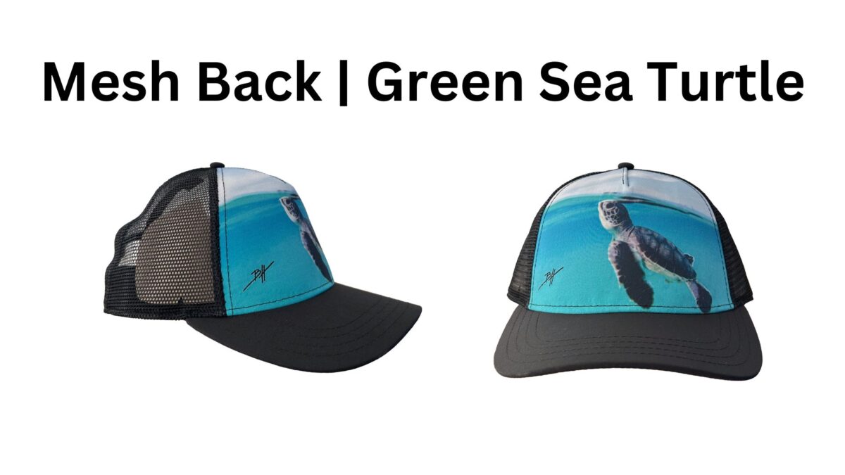 Mesh Back | Green Sea Turtle