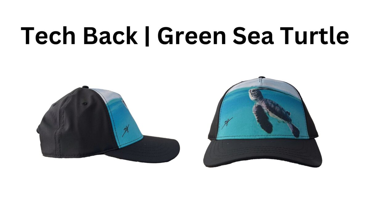 Tech Back | Green Sea Turtle