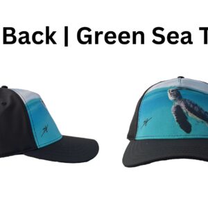 Tech Back | Green Sea Turtle
