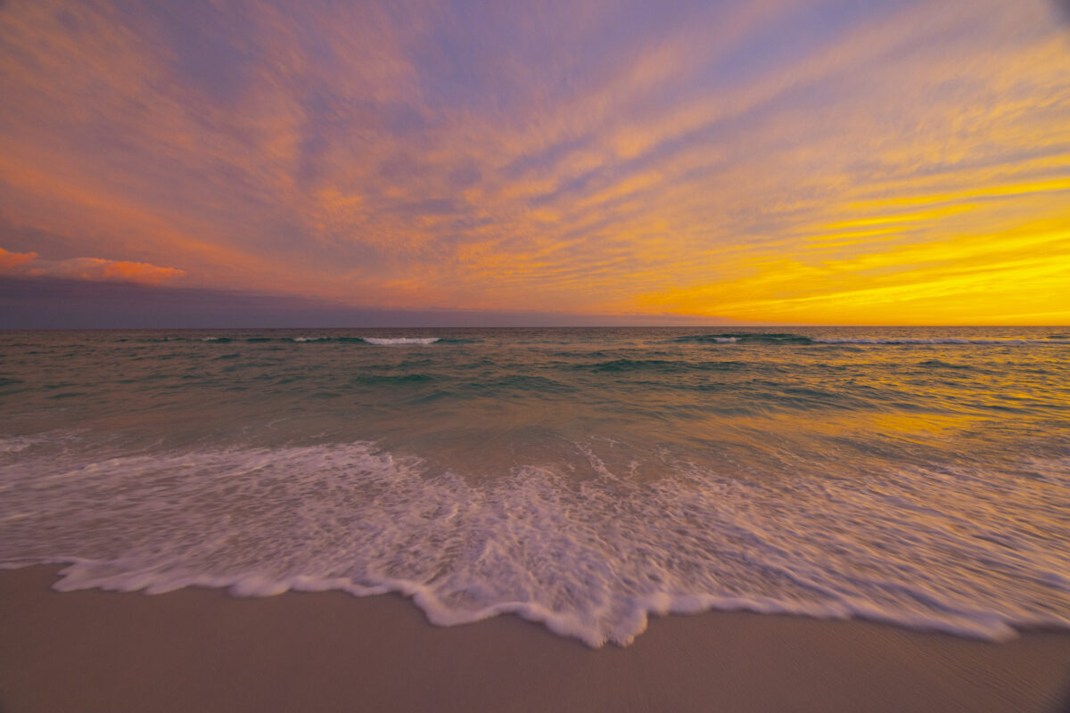 Photography #11983 from Landscape Florida