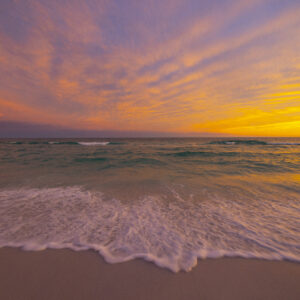 Photography #11983 from Landscape Florida