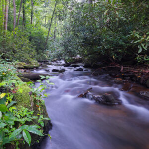 Photography #12108 from Western North Carolina