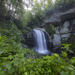 Photography #12118 from Western North Carolina