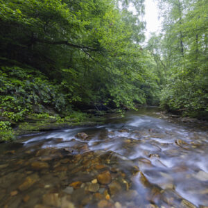Photography #12120 from Western North Carolina