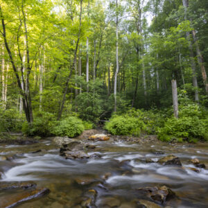 Photography #12140 from Western North Carolina