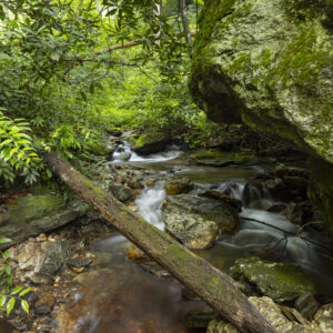 Photography #12116 from Western North Carolina
