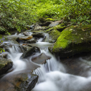 Photography #12124 from Western North Carolina
