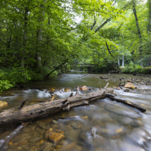 Photography #12128 from Western North Carolina