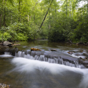 Photography #12138 from Western North Carolina