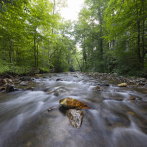 Photography #12146 from Western North Carolina