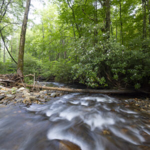 Photography #12150 from Western North Carolina