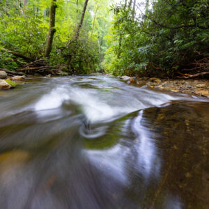 Photography #12156 from Western North Carolina