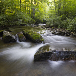 Photography #12170 from Western North Carolina