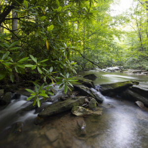 Photography #12172 from Western North Carolina