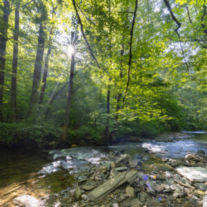 Photography #12174 from Western North Carolina