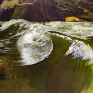 Photography #12104 from Western North Carolina