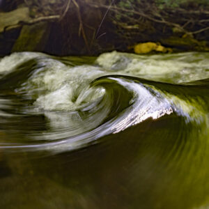 Photography #12142 from Western North Carolina