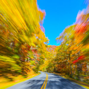 Photography #12109 from Western North Carolina