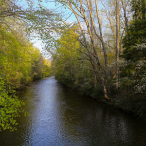 Photography #12106 from Western North Carolina