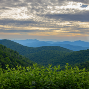 Photography #12617 from Western North Carolina