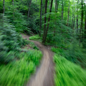 Photography #12607 from Western North Carolina
